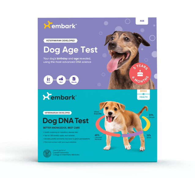 Dog Age Test and Dog DNA Test bundles