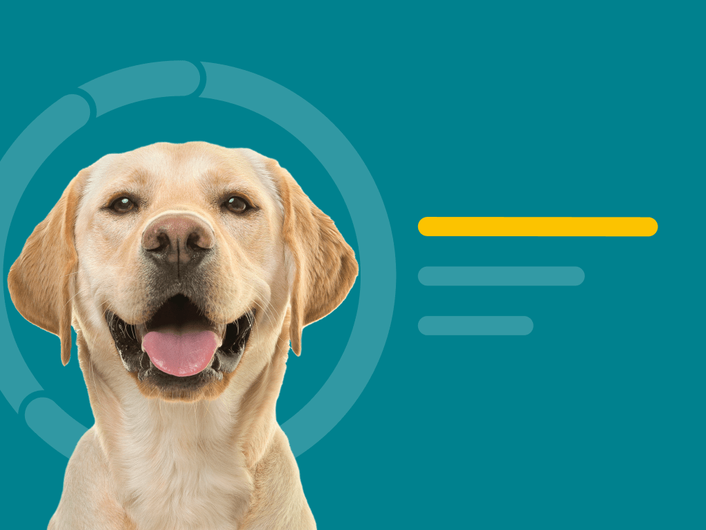 What is the Most Accurate Dog DNA Test?