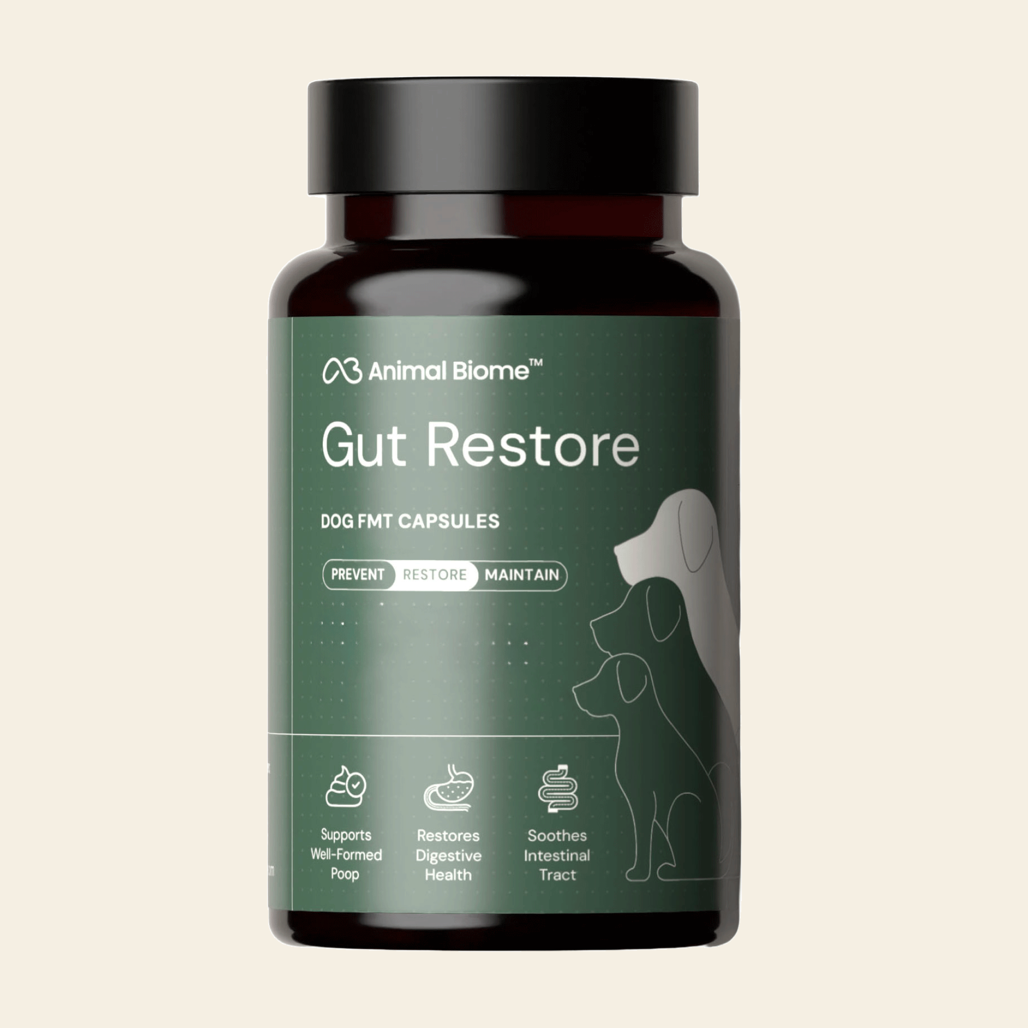 Embark Gut Restore Supplement for Dogs