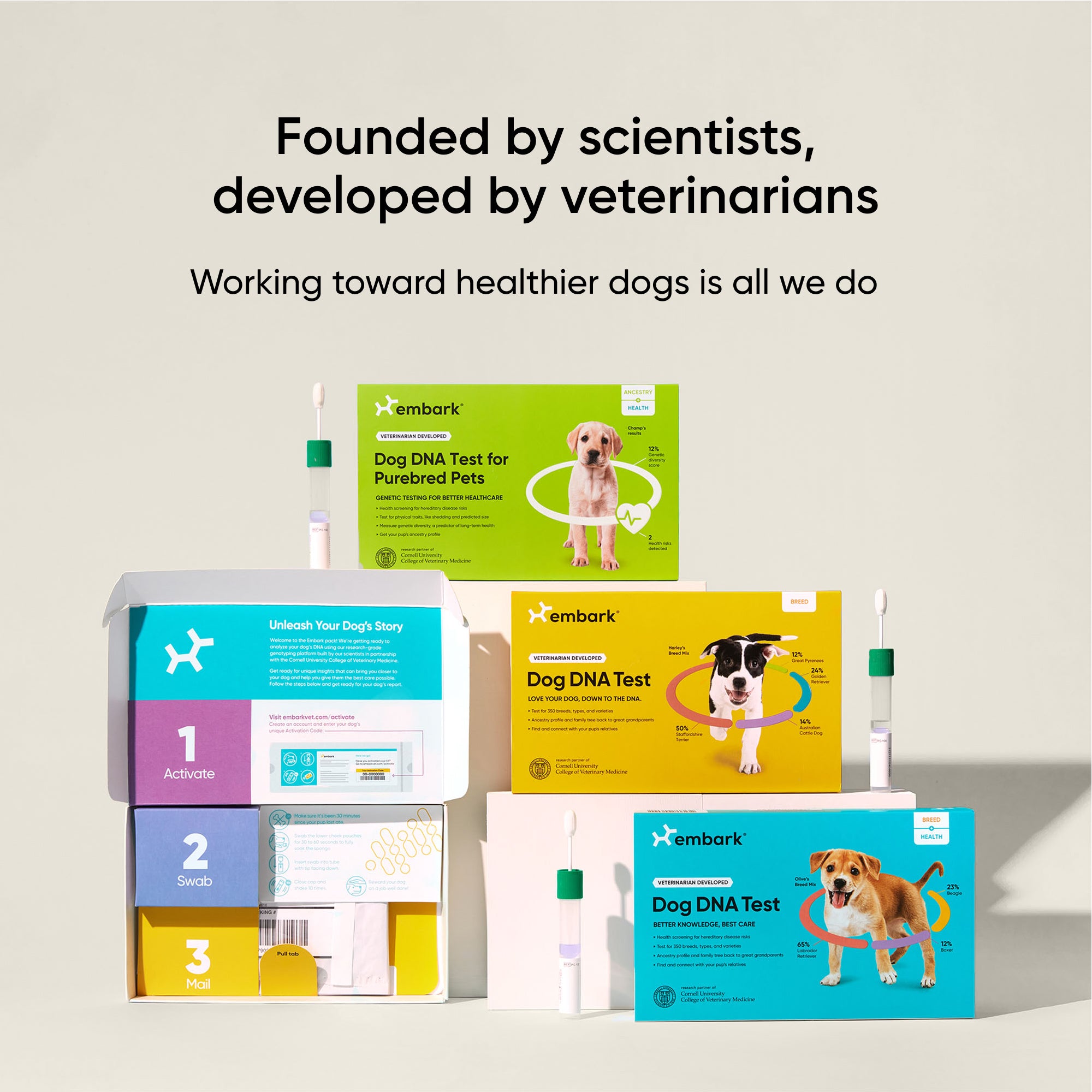 Embark Dog DNA Test